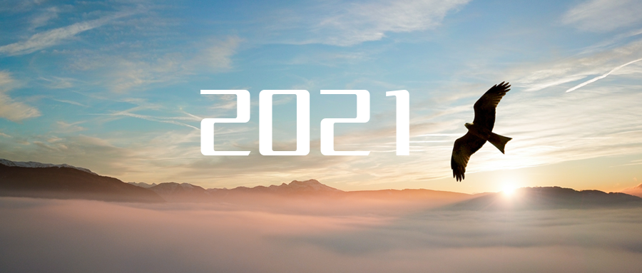 乘“峰”而上，智“盈”未来 ——2021年必一运动Bsports环境高级资深副总裁新年开工动员